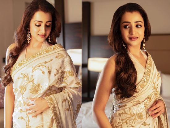 Delightful Clicks Of Trisha Krishnan In Saree